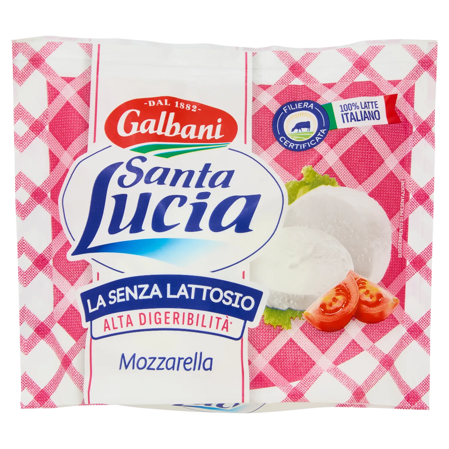 MOZZARELLA SANTA LUCIA SENZA LATTOSIO GR100